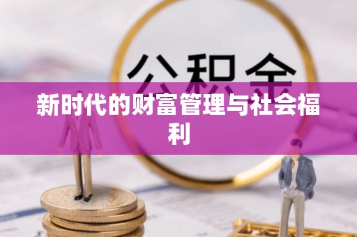 甲仙新时代的财富管理与社会福利