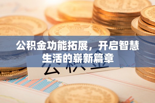 甲仙公积金功能拓展，开启智慧生活的崭新篇章